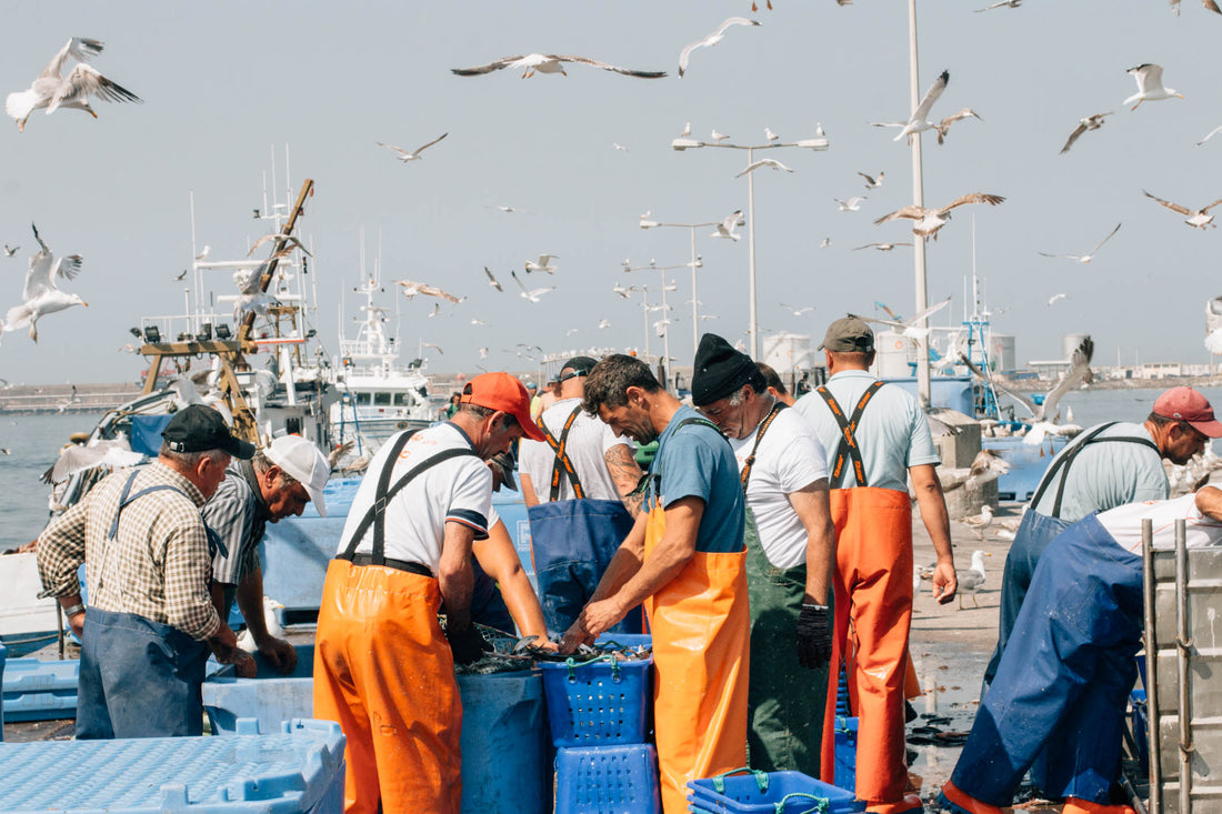 Pescadores_Pinhais