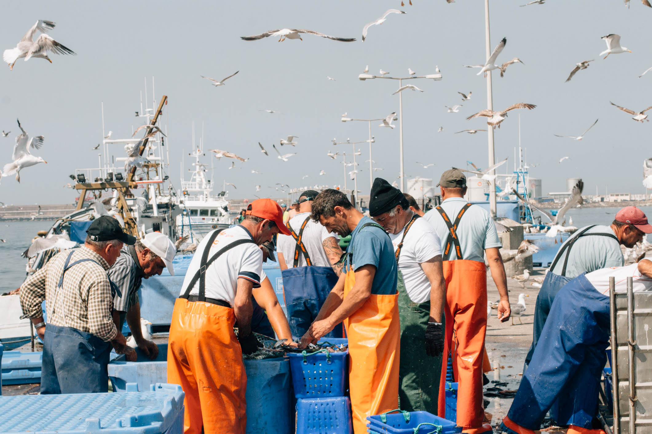 Pescadores_Pinhais